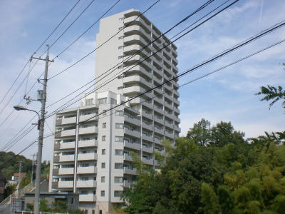 写真あり