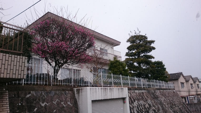 西区 構造:鉄筋コンクリート造土地面積:463.47平米 ( 140.19坪 ) 建物面積:209.61平米 ( 63.4坪 )